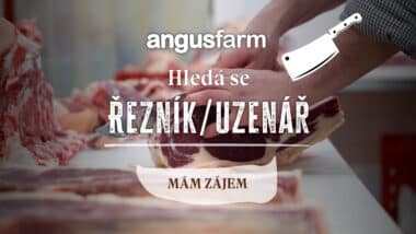 Volné pracovní místo - UZENÁŘ, UZENÁŘKA / ŘEZNÍK, ŘEZNICE ve společnosti Angusfarm s.r.o. 